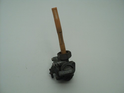 Honda 500 vt500c shadow - honda,