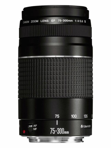 Canon 300 4 0 5 - ef, f/4.0-5.6