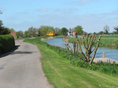 Photo 6x4 pollarded willows - photo,
