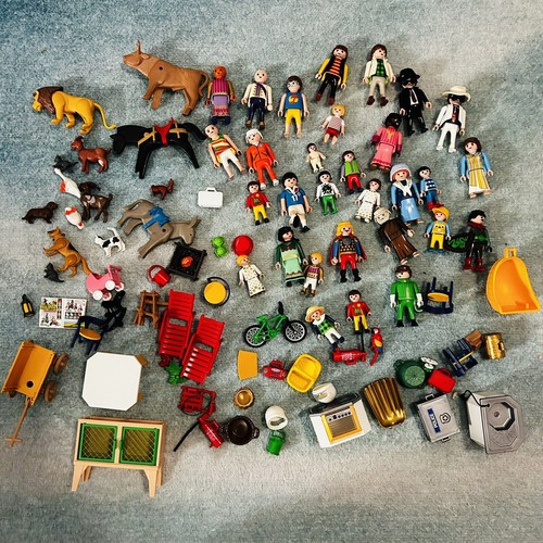 Playmobil lotto figurine con