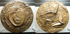 MEDAGLIA BANCA DI CREDITO