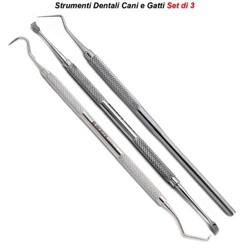 Kit strumenti dentali cani - strumenti, e