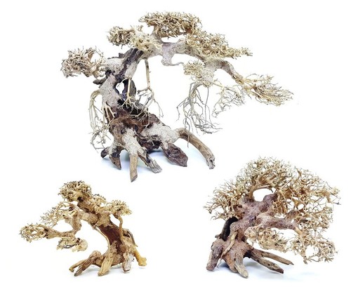 Decorline bonsai wood legno - bonsai,