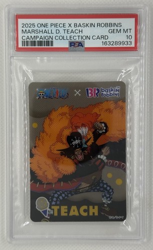 2025 one piece baskin - 2025, x