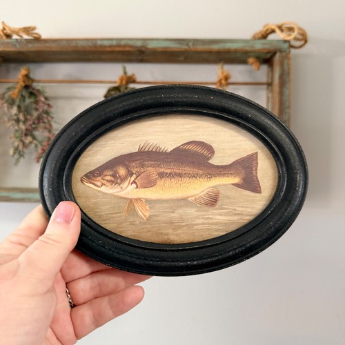 Bass fish incorniciato arte - bass, da
