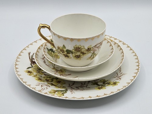 Set pranzo tazza - set, pranzo/tazza