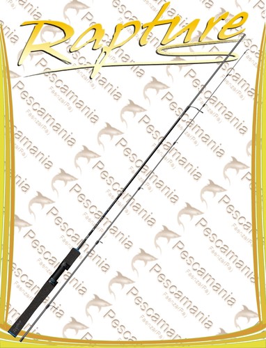 Canna spinning rapture - canna,