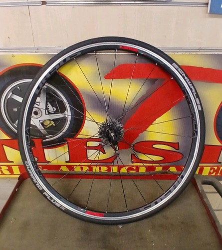 Ruota posteriore ursus bici - posteriore,