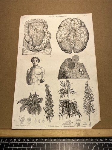 Stampa artistica antica 1834