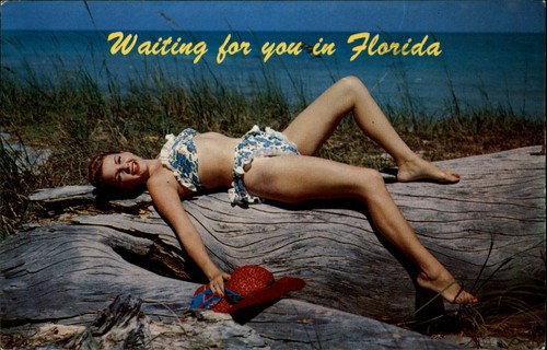 Florida donna bikini pin - bikini, pin-up
