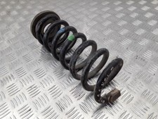 Molla Posteriore Sinistra