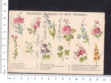 CARTOLINA NUOVISSIMO