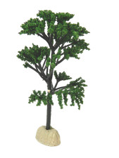 Albero Cm 14 -  Vegetazione