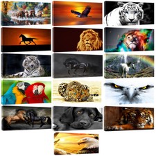 QUADRI MODERNI ANIMALI