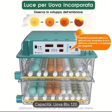 Incubatrice 120 Uova