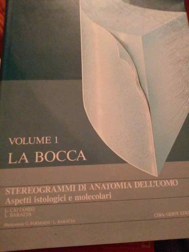 Stereogrammi anatomia - stereogrammi, di