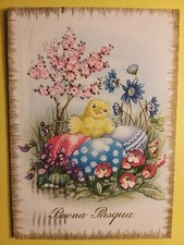 Buona Pasqua - Pulcini.