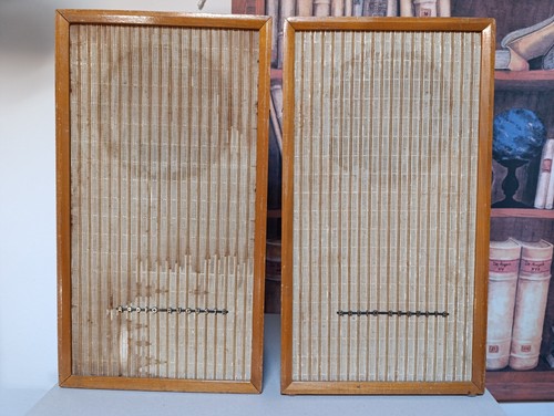 Casse acustiche altoparlanti