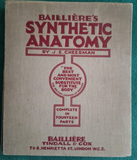 BAILLIERE'S ANATOMIA SINTETICA MEDICINA 13 PARTI CORPO UMANO TAVOLE SOVRAPPOSTE