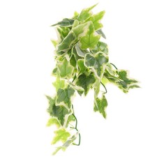 Piante Finte Per Rettili