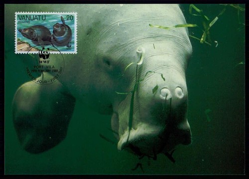 Vanuatu 1988 wwf - mk,