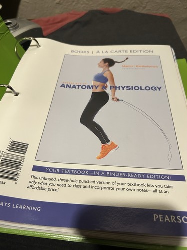 Essentials anatomy and - essentials,