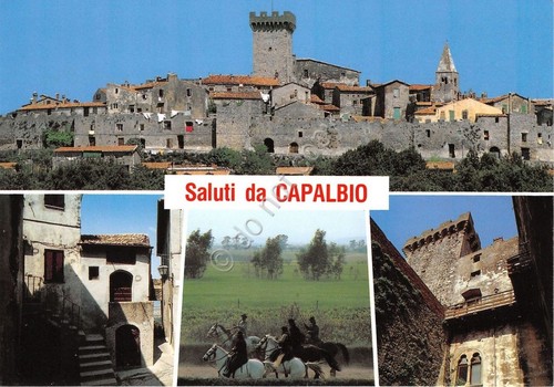Cartolina postcard saluti - -,