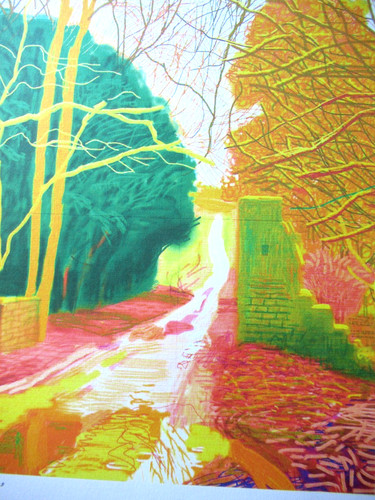 Litografia david hockney - litografia,