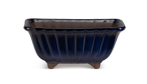 Certrè vaso per bonsai - -,
