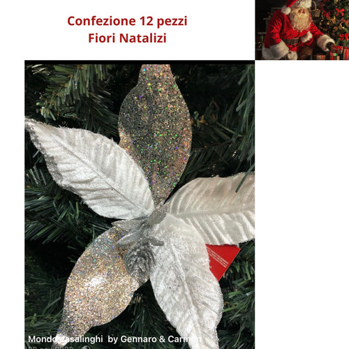 Fiori natale decorazioni - fiori, di