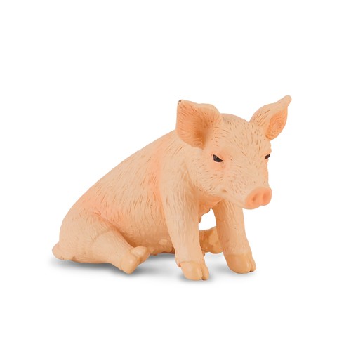 Collecta piglet sitting - piglet,
