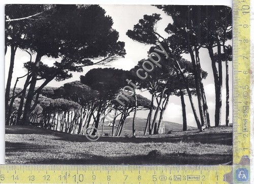 Cartolina fopulonia veduta - cartolina,