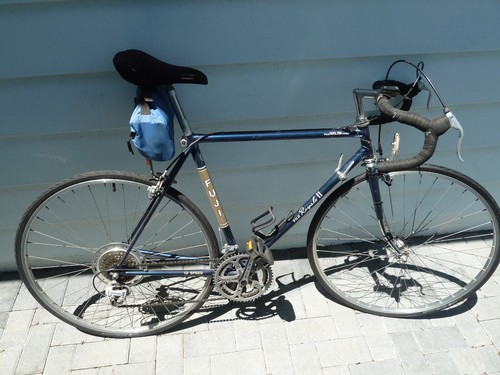 Fuji royale bike this - 2,