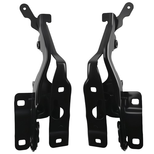 Cerniera cofano for - cerniera,
