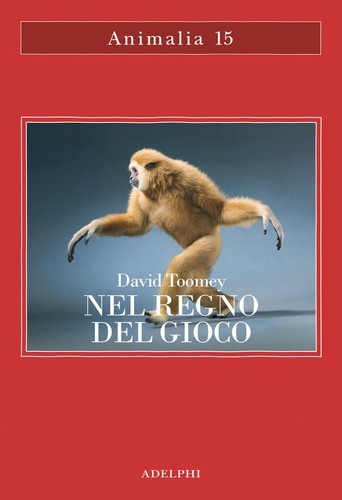Libri toomey david nel regno - david,