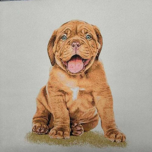 Pannello suede cane - suede, mastino