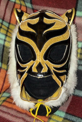 The first tiger mask satoru - tiger, mask,