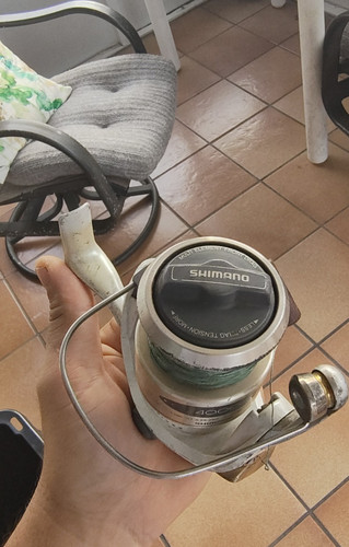 Mulinello shimano stradic - shimano,