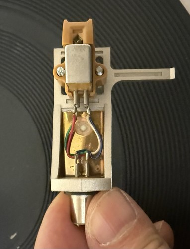 Shell testina pioneer - shell,