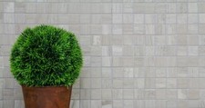 Mosaico tessere marmo - mosaico,