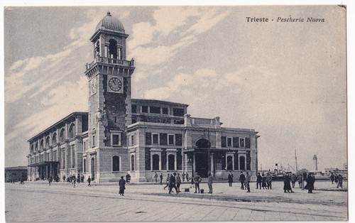 P04018 cartolina trieste - p04018,