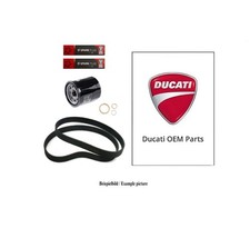 Ducati OEM Monster 600 2001