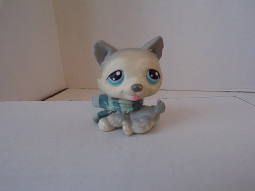Littlest pet - littlest,