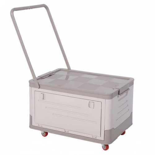 Contenitore pieghevole con - pieghevole,