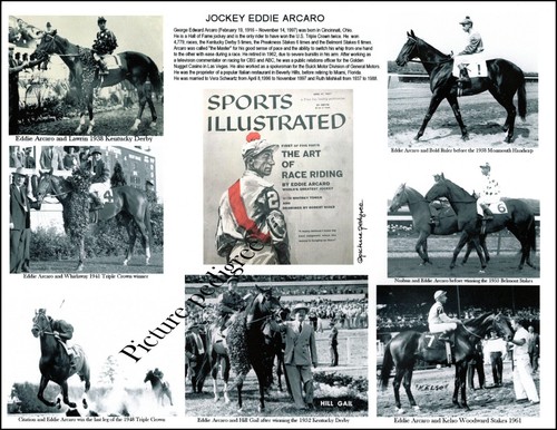 Compilazione fantino corse