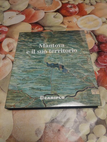 Mantova suo territorio - il,
