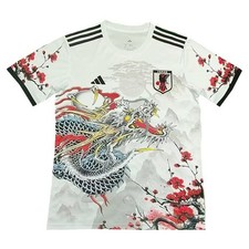 Maglia calcio Japan Concept