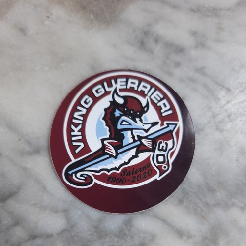 Adesivo viking guerrieri - adesivo,