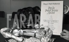 Foto Vintage Animali Regno Unito Bull terrier premiato 1985 stampa 18x13 cm