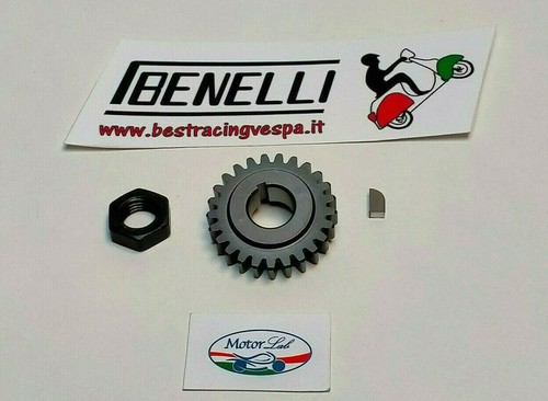 Pignone per 72 best - pignone, z